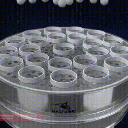 旋振筛3d结构演示