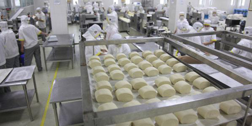 洛阳**食品公司中央厨房面粉供料系统